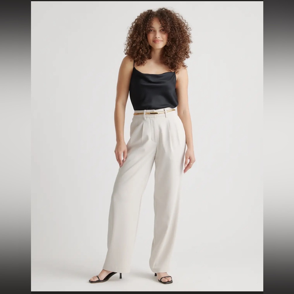 Quince Stretch Crepe Pleated Wide Leg Pants